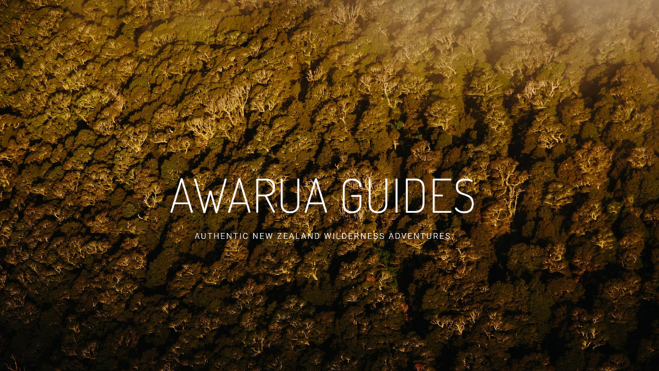 Awarua Guides Authentic Wilderness Adventures