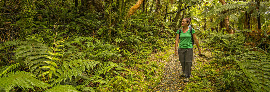 Milford Track, New Zealand