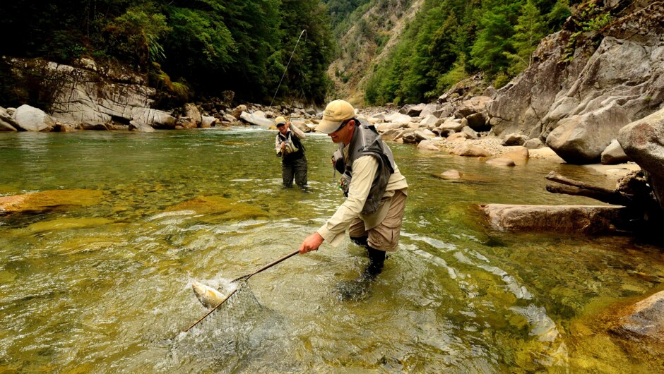 Success - fly fishing in New Zealand