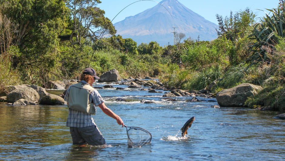 Small stream action, Taranaki fly fishing guide Adam Priest