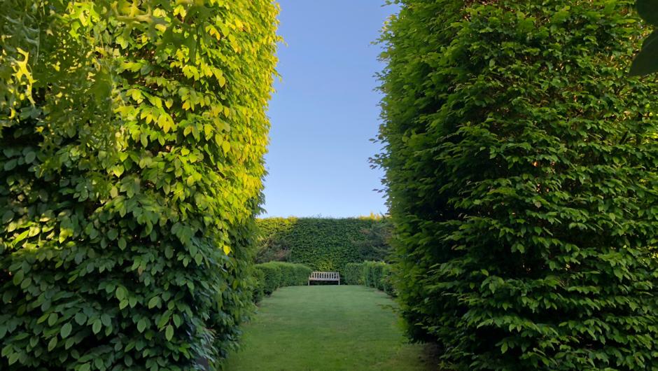 One of the many Quiet spaces at Mincher, Hornbeam hedge with lawn.