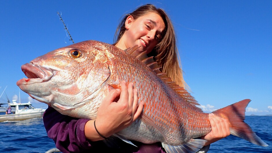 We enjoy a healthy Snapper fishery year round.