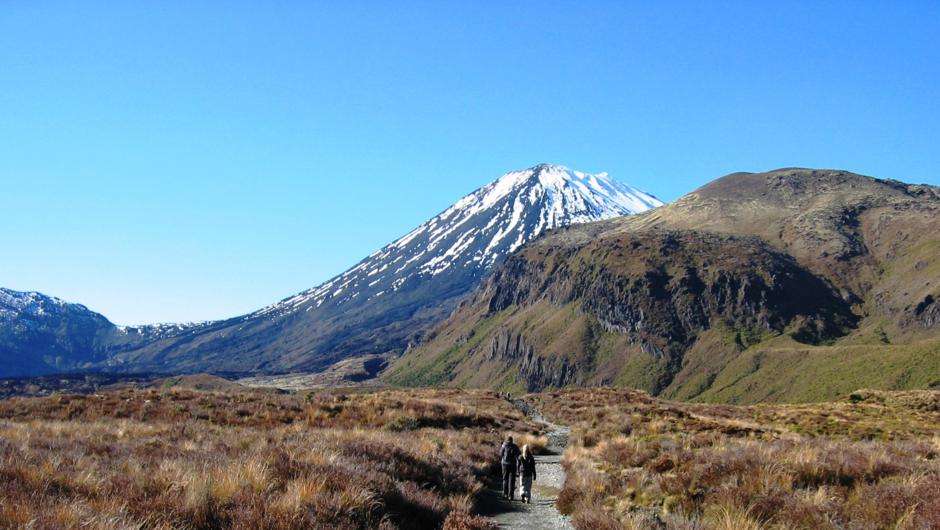 The Start of the Tongariro Alpine Crossing, Let Adventure Lodge take care of you