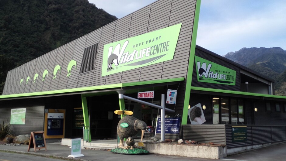 Look out for the bright " Green " building in Franz Josef !