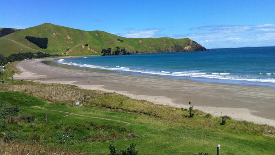 The 1 hour walk along the Muriwai Track finishes with a walk along the beach at Port Jackson.