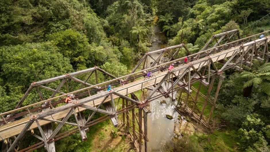 Suspension Bridges on the cycle trail