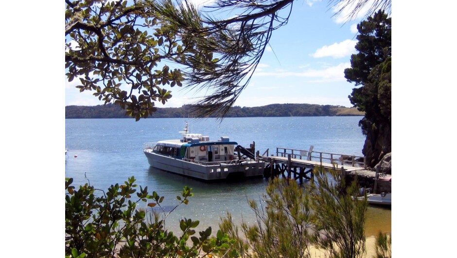 Paterson Inlet Cruises - Stewart Island Experience