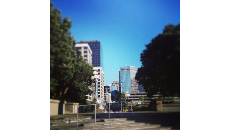 Wellington City Streetscape