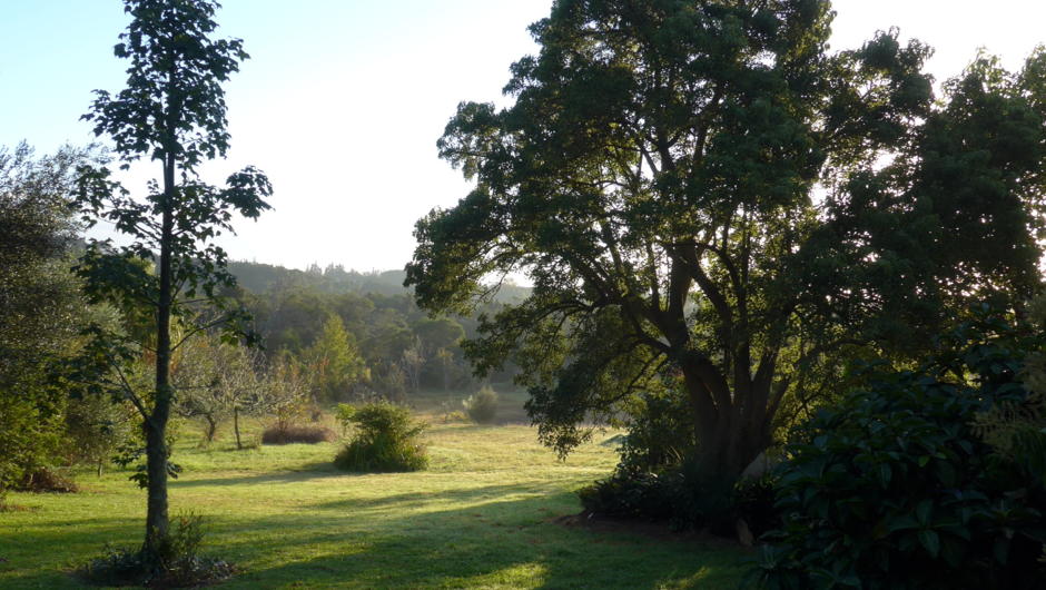 View from your cottage at Wharepuke in Kerikeri