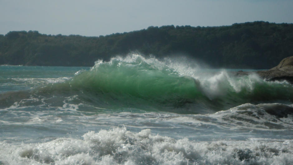 Waves near Hahei