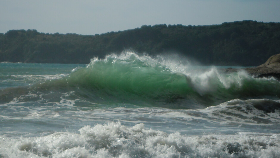 Waves near Hahei