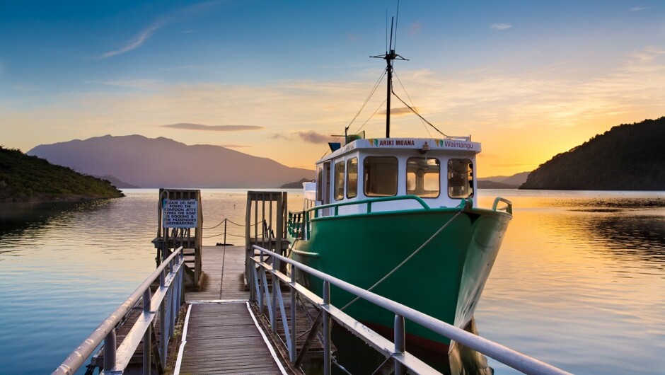 Lake Rotomahana Boat Cruise, Waimangu Volcanic Valley