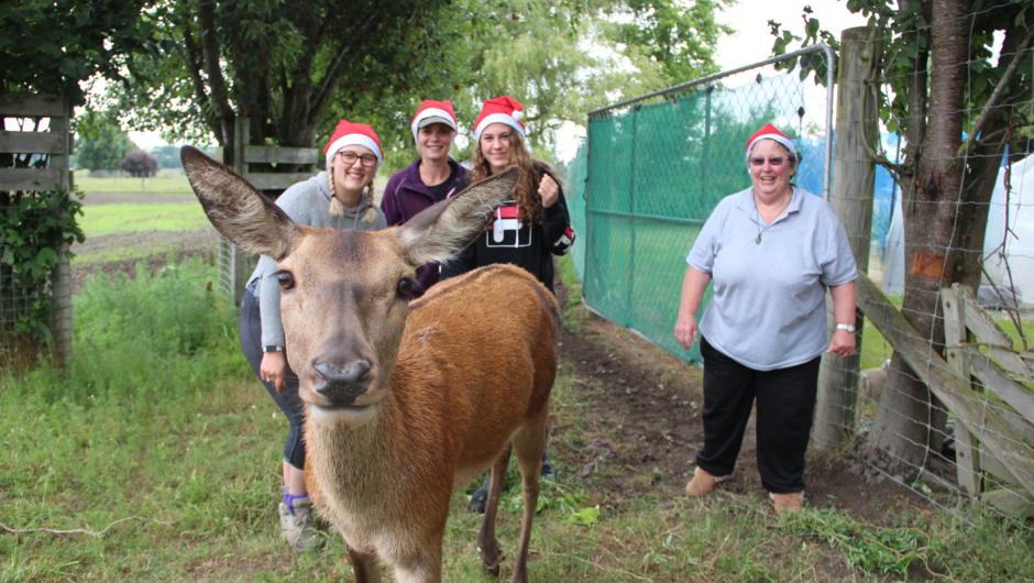 Our pet deer Pixie is always a hit with visitors - especially if you have a banana!
