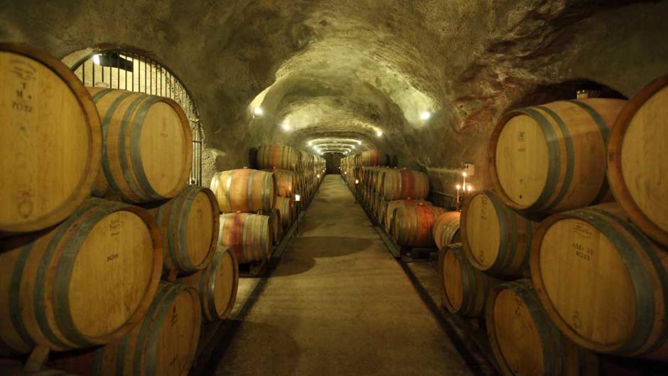 와인 저장동굴 속 300개가 넘는 배럴 안에서 숙성되고 있는 피노 누아에 둘러싸여 와인 시음하기.