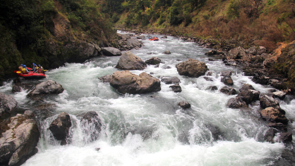 Grade 5 Rafting, Rangitikei River