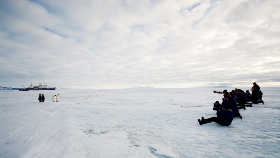 南極のロス海でコウテイ・ペンギンを撮影する旅人