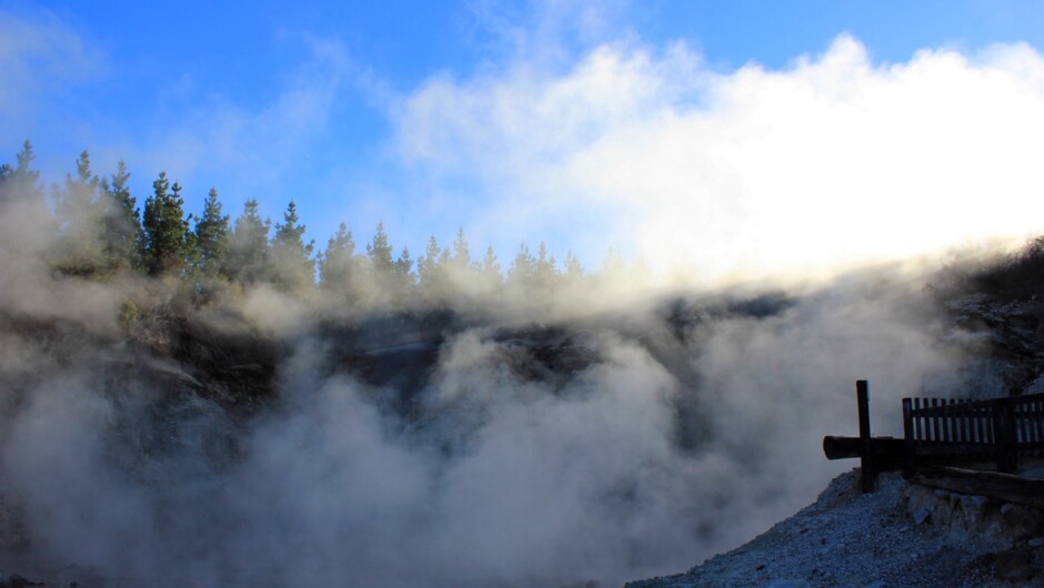 Hells Gate - Rotorua's Most Active Geothermal Reserve