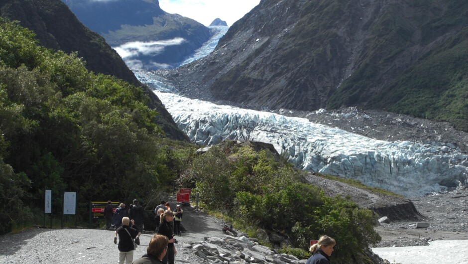 Fox glacier