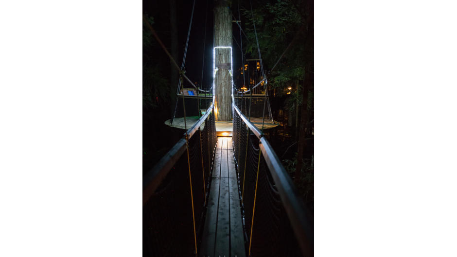 在前面的几座高架桥上可观赏到这一景象，迎接你来到红杉夜灯
