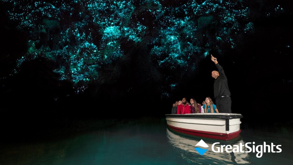 Visit the Glowworm Grotto on a Waitomo Caves tour