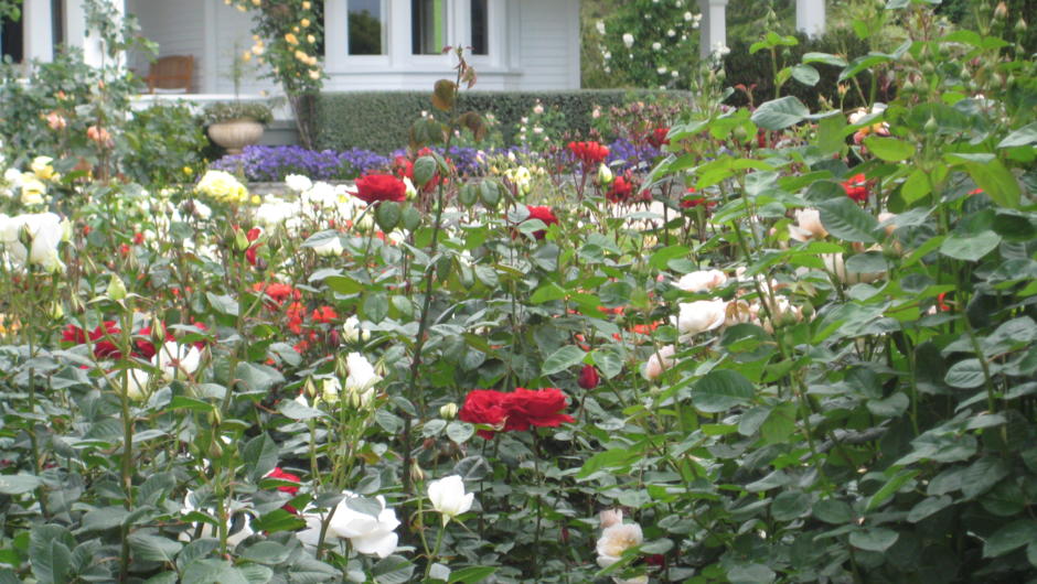 Glen Aros Country Estate rose garden
