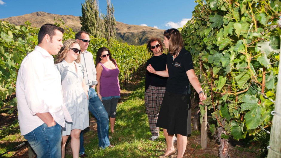 Learn the special characteristics that make Otago wines sought after by connoisseurs worldwide.