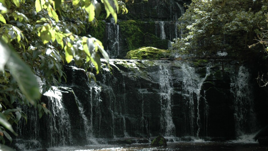 Purakanui Falls