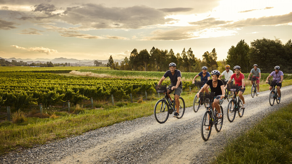 Group on hire bikes for days wine tour