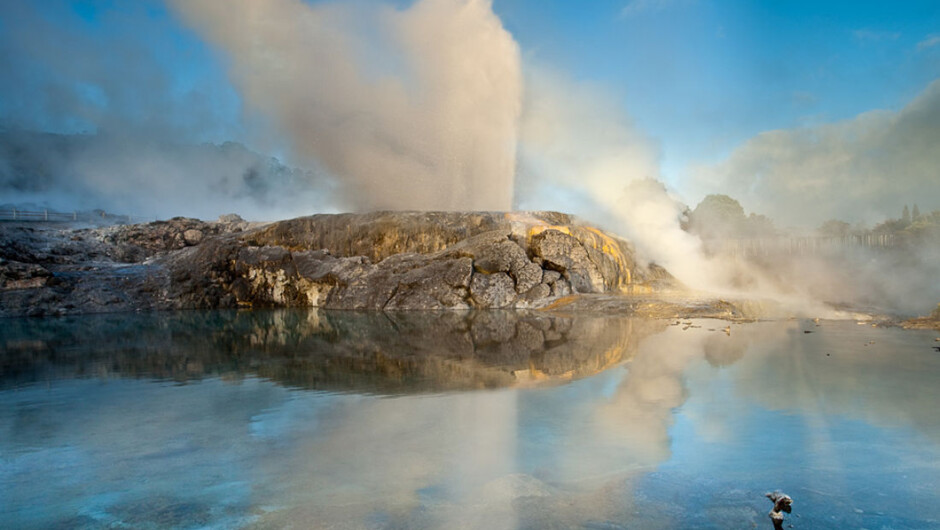 Steaming Geysers, TePuia