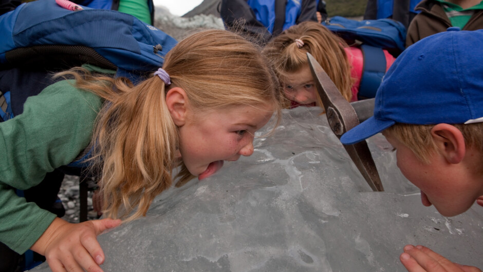 氷河末端部を見に行くフォックス・トレイルは５才以上対象。家族で楽しめます。