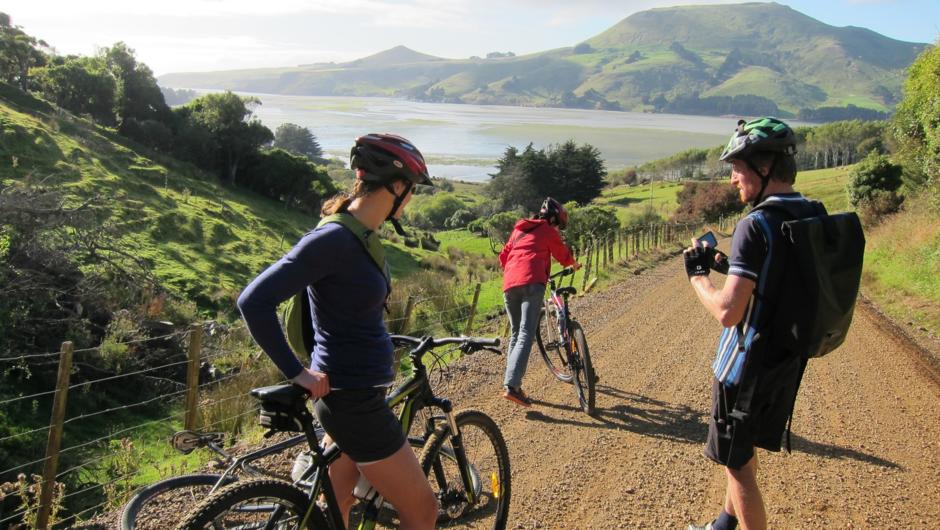 Otago Peninsula bike tour