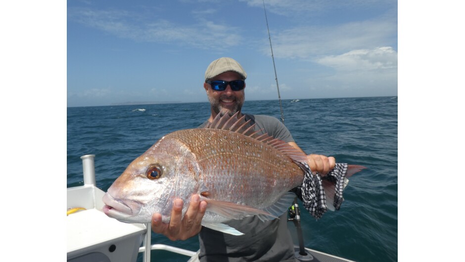 Lure caught snapper