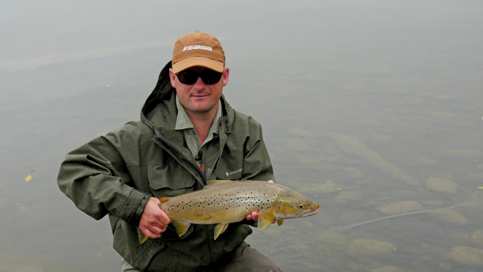 Silver sea run brown trout