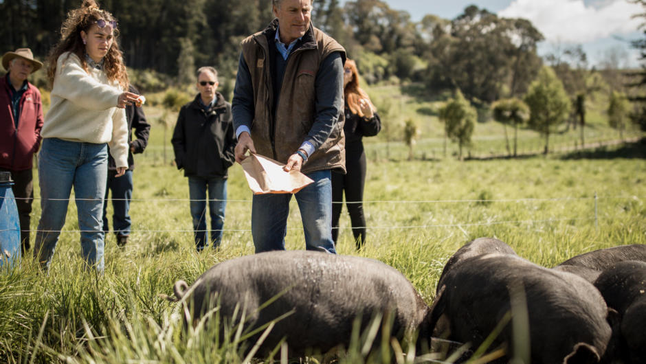 Learn about regenerative farming practices from New Zealand farmer Greg Hart.