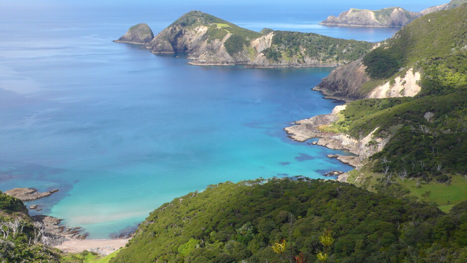 Check out the blue waters at Cape Brett Peninsula