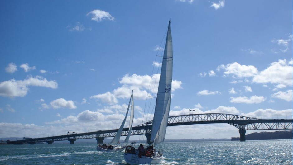 Harbour sailing by Harbour Bridge