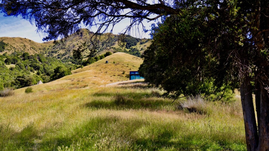 Manakau PurePod, first impressions - tucked away in your own slice of the beautiful NZ landscape