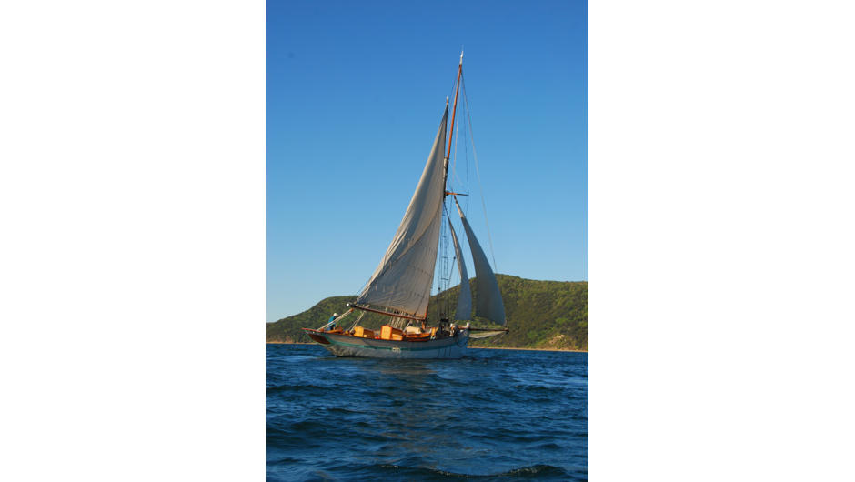 Sailing in Queen Charlotte Sound