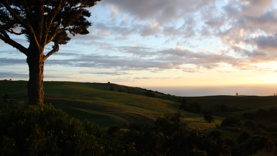 Sunrise at The Lodge at Kauri Cliffs