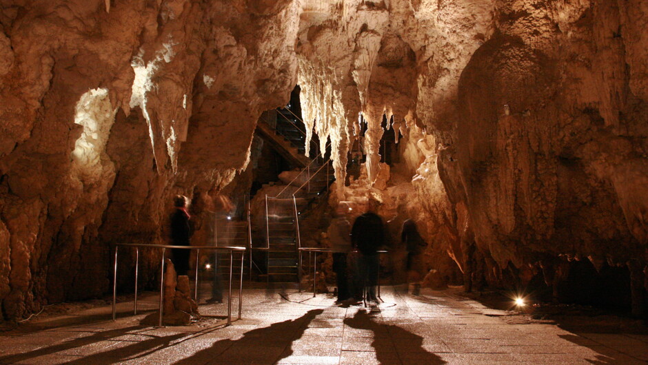 Waitomo Glowworm Cave