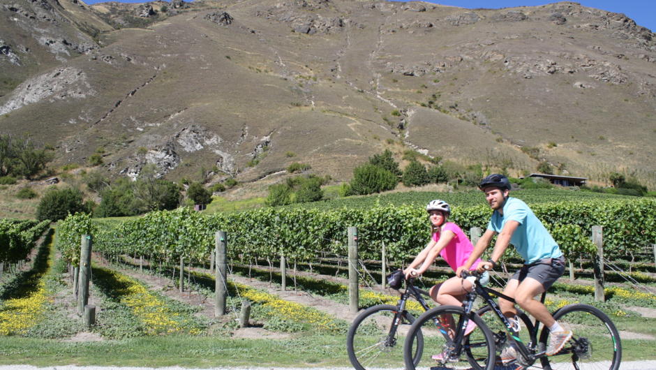 Bike The Wineries - Gibbston Valley