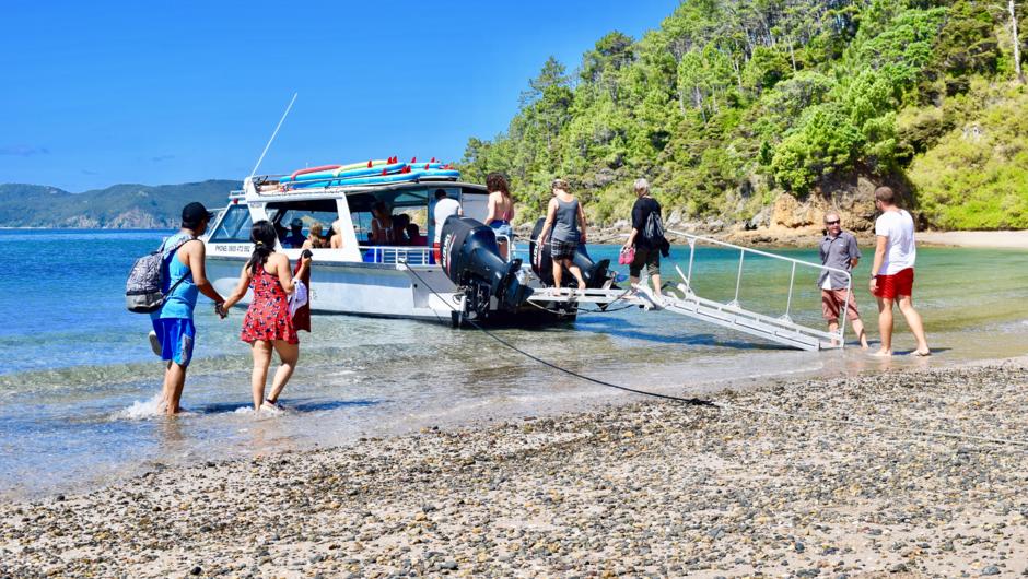 From boat to beach! Custom designed to take our guests to some of New Zealand's most unfrequented beaches.