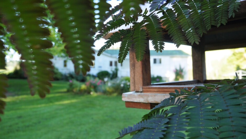 Through the bird table