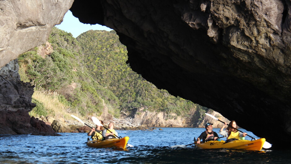 Kayaking through Motukoranga Island