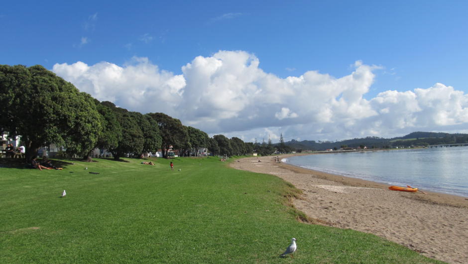 Beach view towards Waitangi