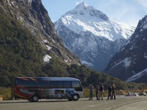 A bus tour gives you the chance to relax and soak in beautiful scenery of Fiordland.