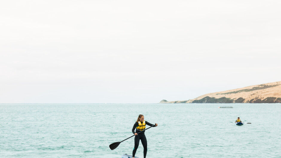 Paddle Boarding in the harbour