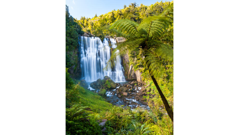 Wasserfall
Neuseeland
Farn
Marakopa Falls