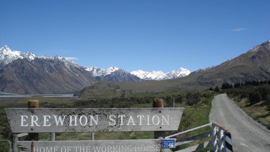 Erewhon Station, home of the working horse