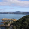 Matiu Somes Island